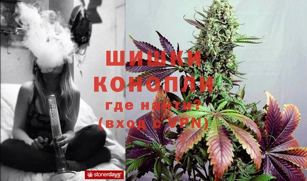 дмт Вяземский