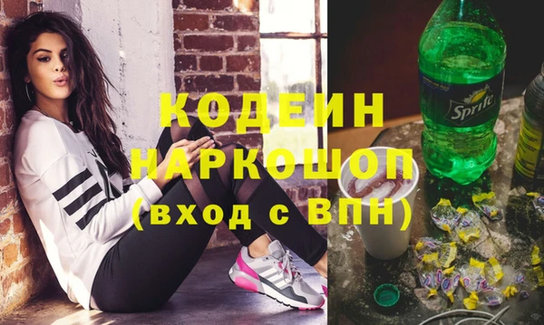 индика Вязники