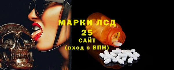 индика Вязники