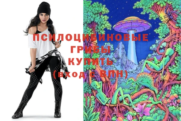 дмт Вяземский