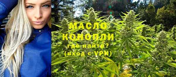 индика Вязники