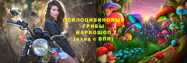 дмт Вяземский