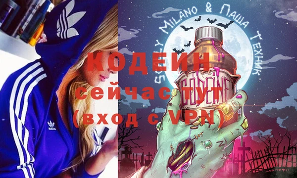 дмт Вяземский