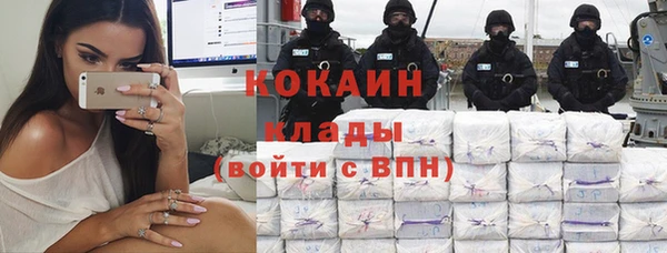 дмт Вяземский