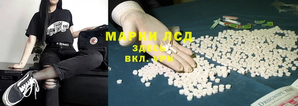 дмт Вяземский