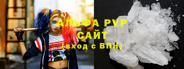 дмт Вяземский