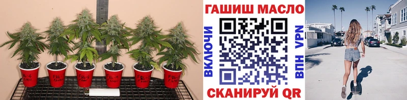 ТГК Wax Зверево