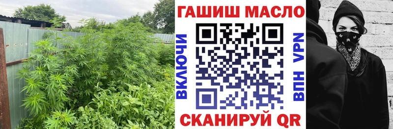 ТГК вейп  купить  сайты  OMG как зайти  Зверево 